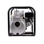 8 H.P Pioneer Water Pump (FREE Magic Hose)