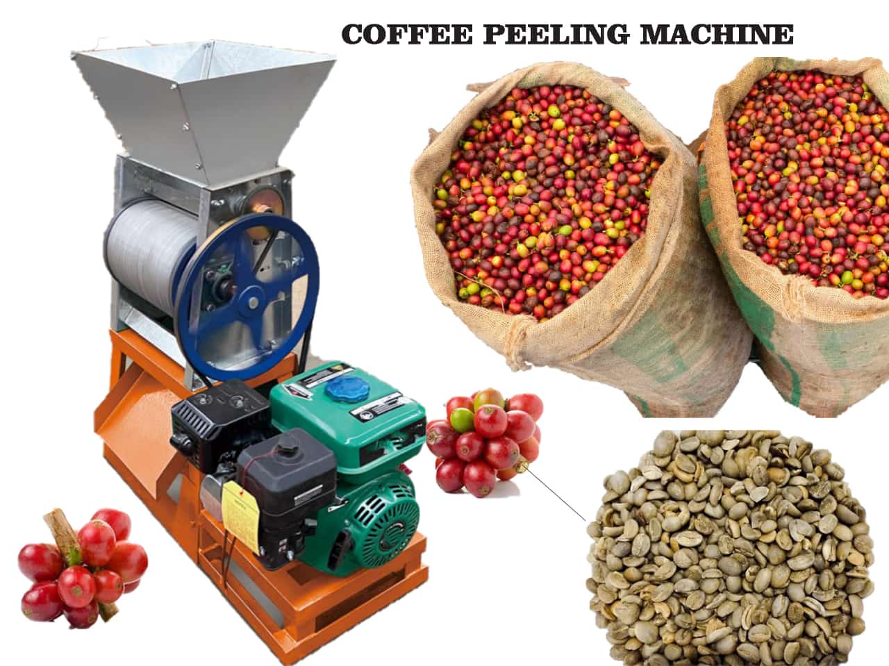 Coffee Pulper Machine with Engine