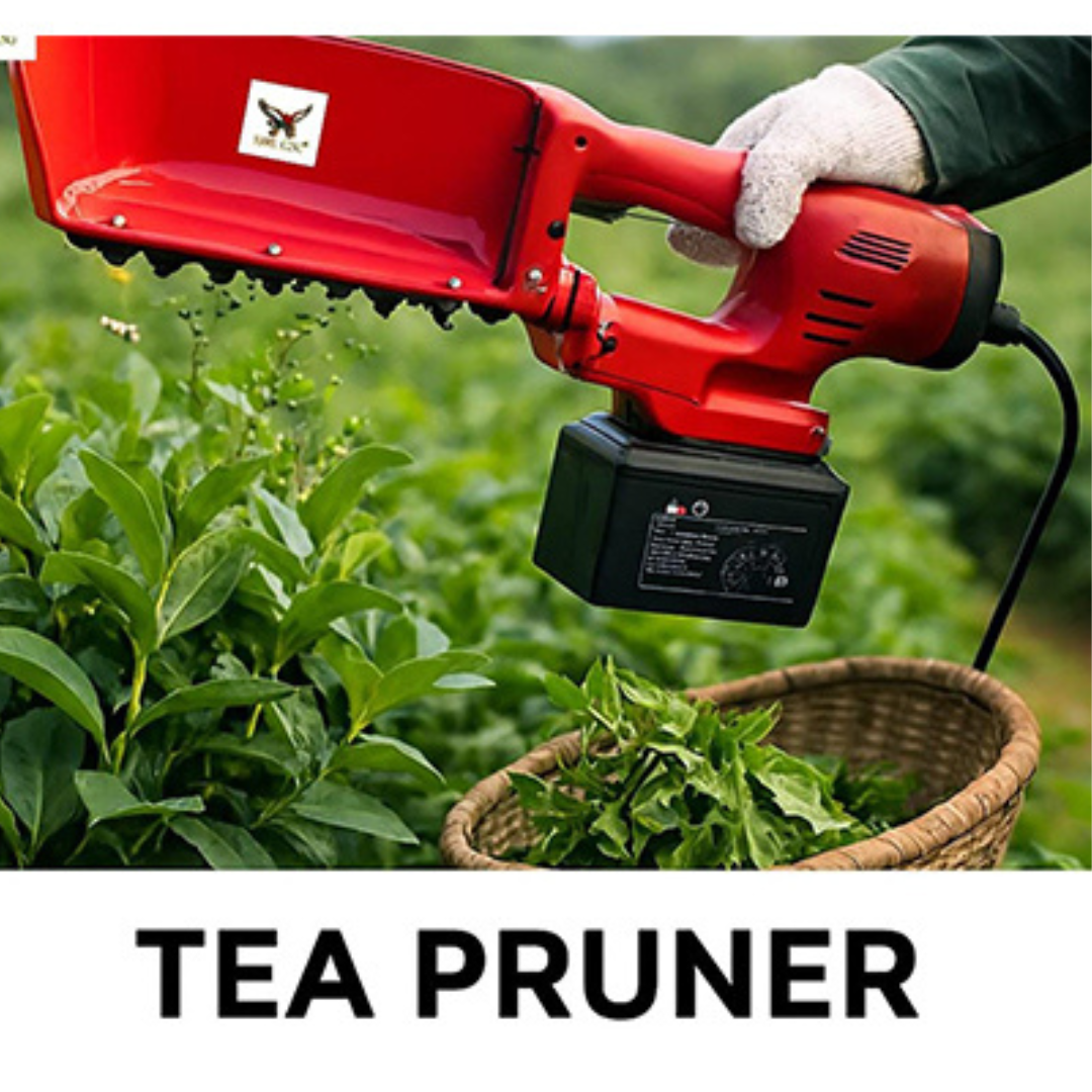 Hawking 24V Electric Tea Picker/Plucker — 400W • 4-ft Bar • 60 kg/hr